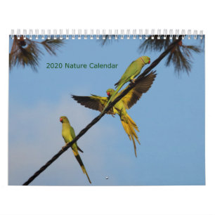 Calendário de Aves e Flores 2020