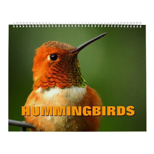 Calendário de Aves Humanos (Capa)