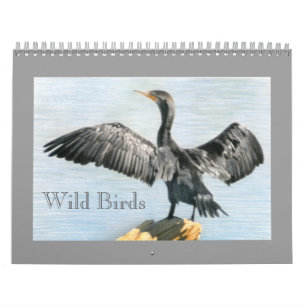 Calendário de Aves Selvagens do Colorado Ocidenta