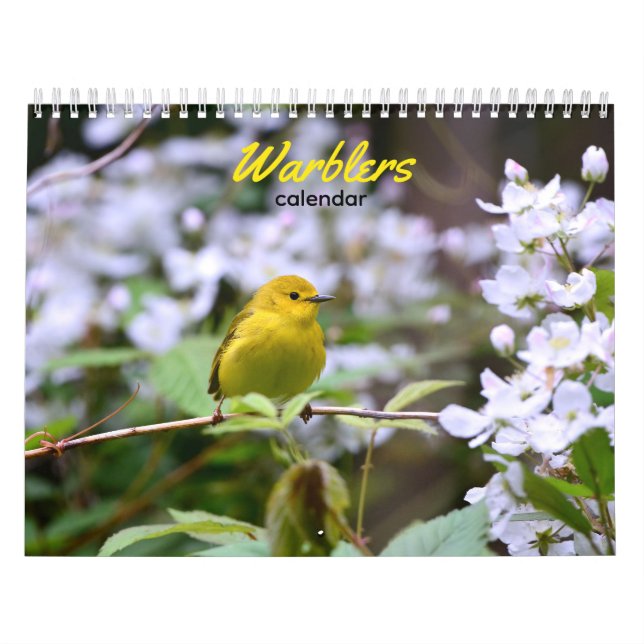 Calendário de Avisadores (Capa)