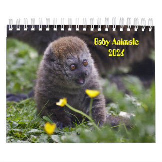 Calendário de Bebês