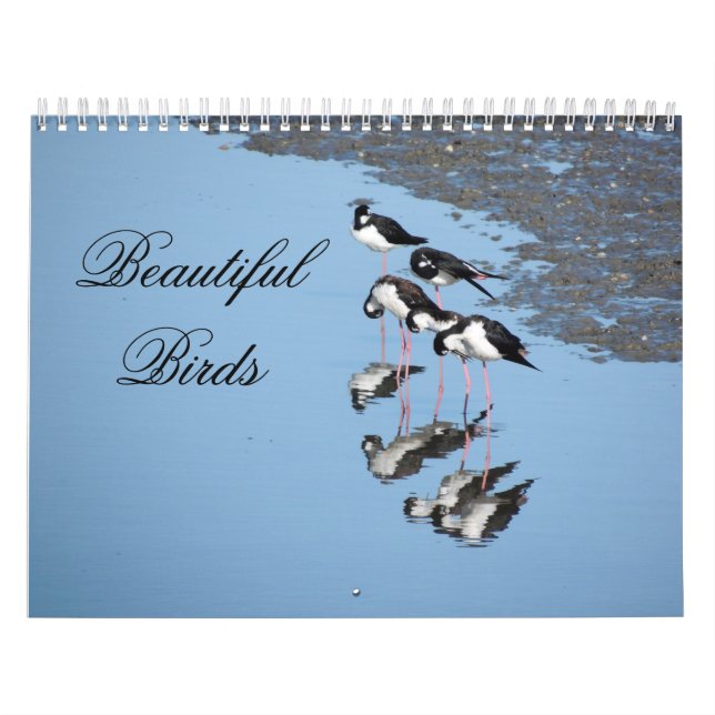Calendário de Belas Aves (Capa)