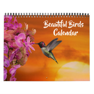 Calendário de Belas Aves de Tamanho Médio