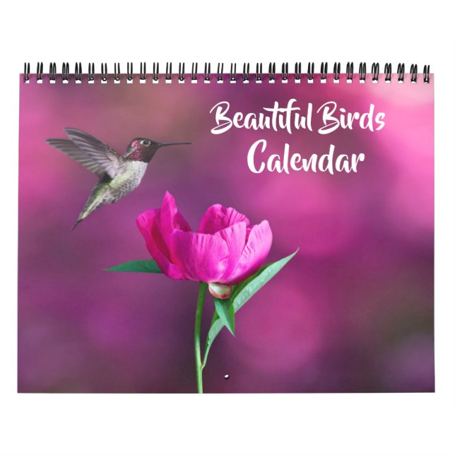 Calendário de Belas Aves de Tamanho Médio (Capa)
