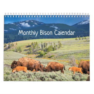 Calendário de Bison Mensal - National Parks Editi