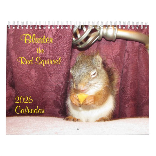 Calendário de Bluster o Esquilo Vermelho 2026 (Capa)