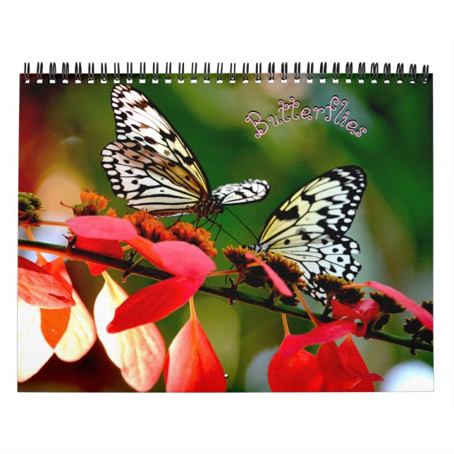 Calendário de Borboletas (Capa)