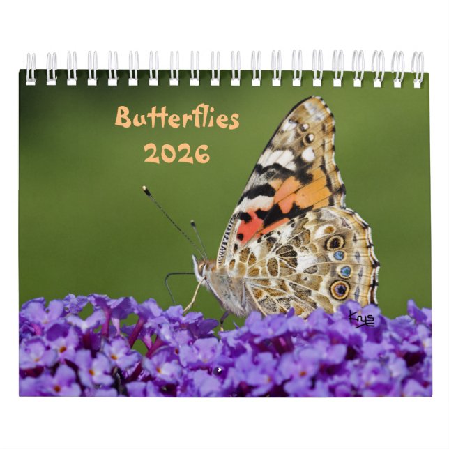 Calendário de Borboletas (Capa)