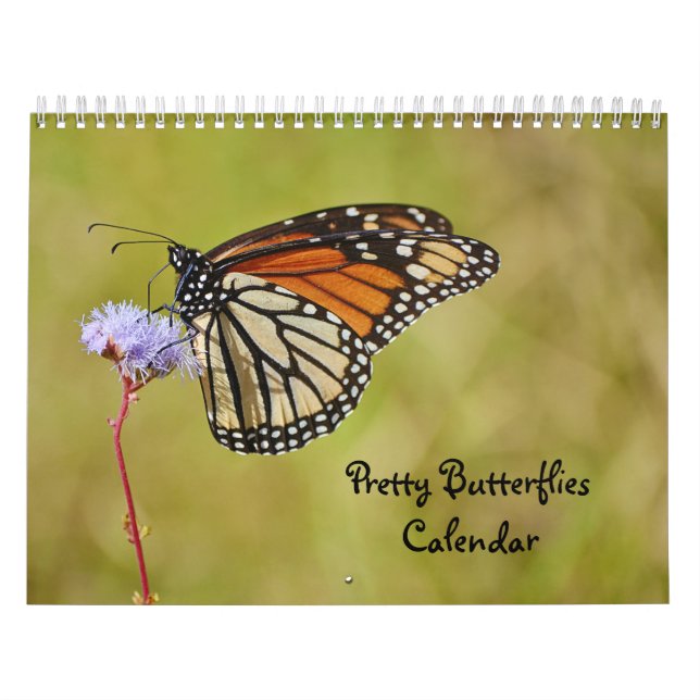 Calendário de Borboletas bonito (Capa)