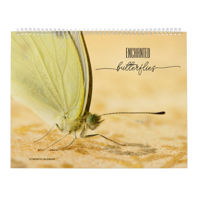 Calendário de Borboletas Encantadas (Capa)