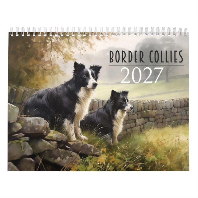 Calendário de Border Collies 2027 (Capa)