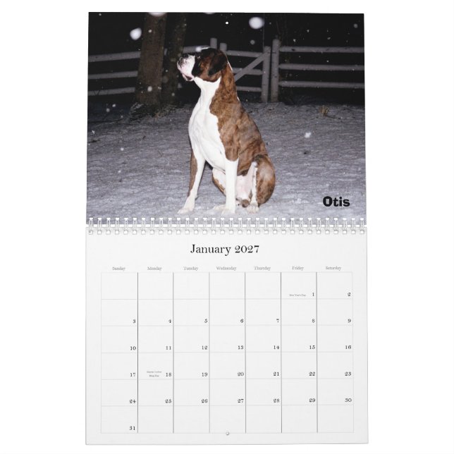 Calendário de BoxerCrazy 2009 (Jan 2027)