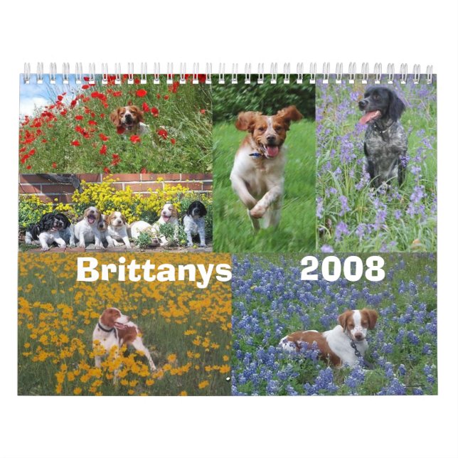 Calendário de Brittany 2008 (Capa)