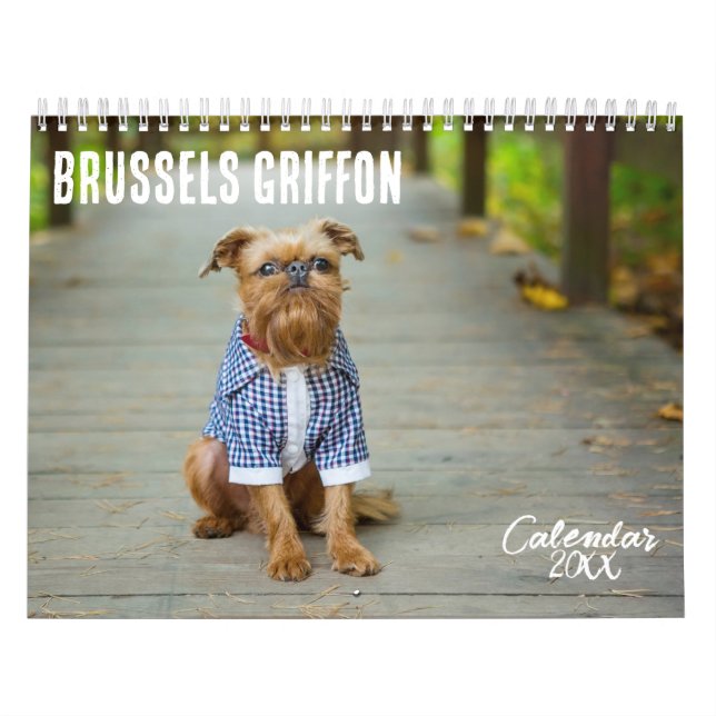 Calendário de Bruxelas Griffon 2026 (Capa)