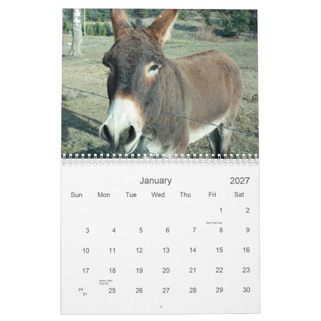Calendário de buracos de Querido de 24 meses (Jan 2027)