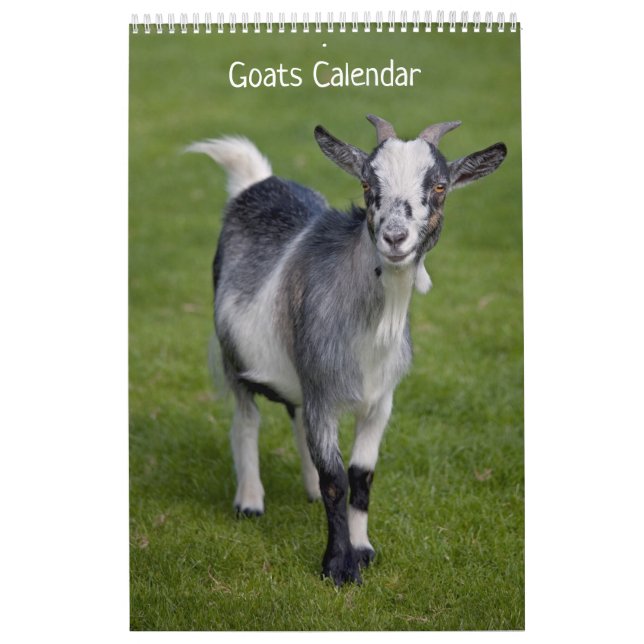 Calendário de Cabras (Capa)