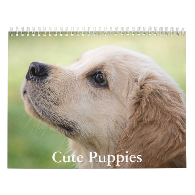 Calendário de Cachorrinhos Fofos (Capa)