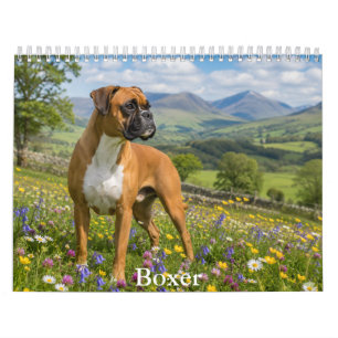 Calendário de Cachorro Boxer