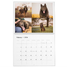 Calendário de Cachorro/Cãozinho Belga-Cavaleiro Ve