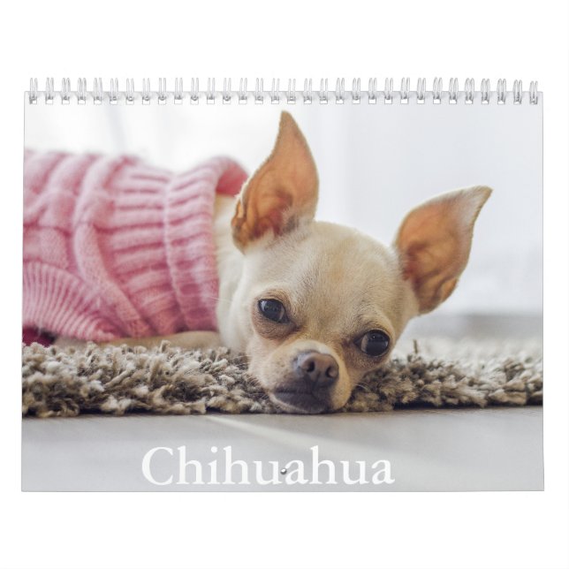 Calendário de Cachorro Chihuahua (Capa)