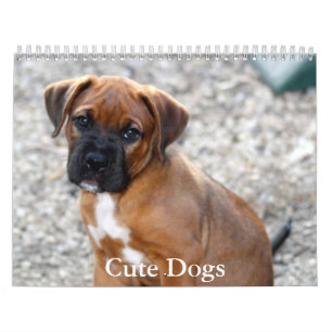 Calendário de Cachorro Fofo