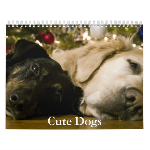 Calendário de Cachorro Fofo