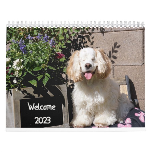 Calendário de Cachorros Agradáveis e em Cuta 2023 (Capa)