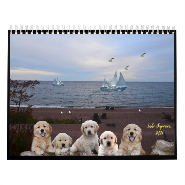 Calendário de Cachorros de Serviço (Capa)