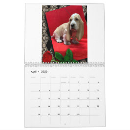 Calendário de cachorros do hound basset