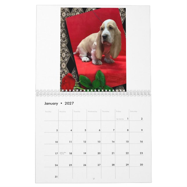 Calendário de cachorros do hound basset (Jan 2027)