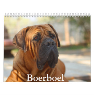 Calendário de Cães Boerboel