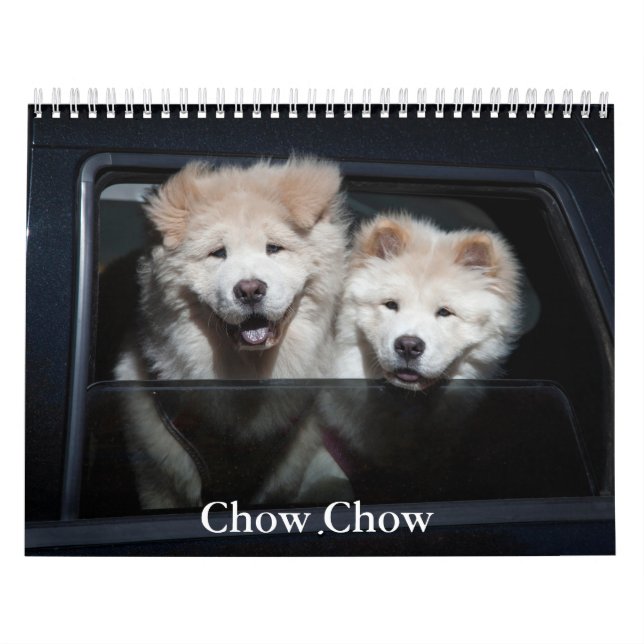 Calendário de Cães de Chow (Capa)