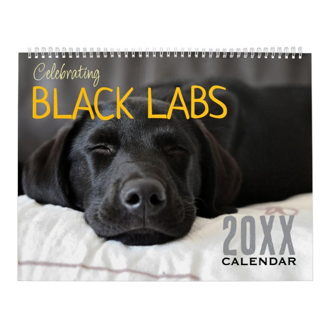 Calendário de Cães Labrador Preto 2026  (Capa)