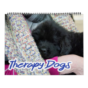 Calendário de Cães Terapêuticos Notta Bear Newfoun
