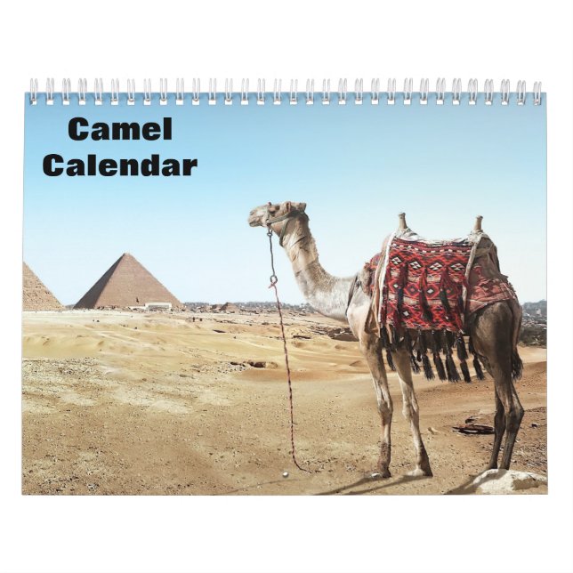 Calendário de Camelos 2027 (Capa)