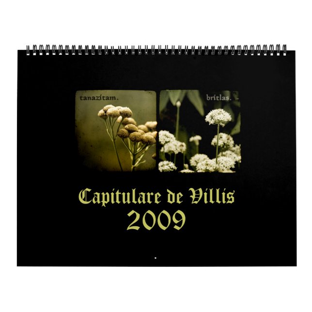 Calendário de Capitulare de Villis 2009 (Capa)
