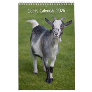Calendário de Capturas