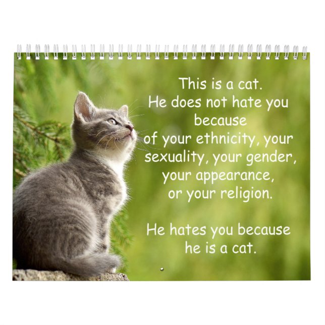 Calendário de Cat (Capa)