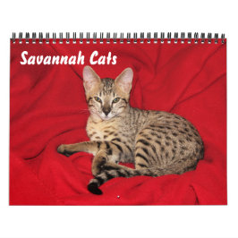 Calendário de Cat do Serval Savannah
