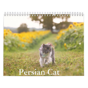 Calendário de Cat Persa