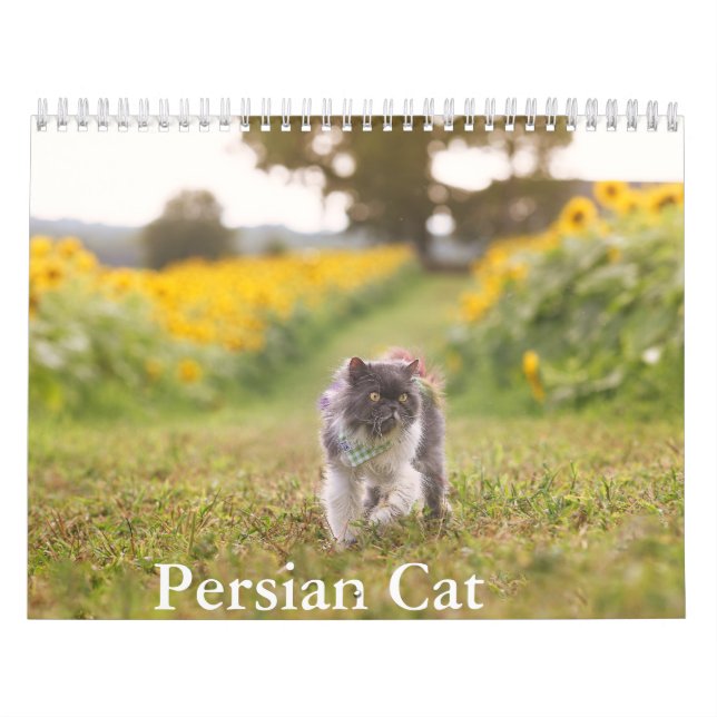 Calendário de Cat Persa (Capa)