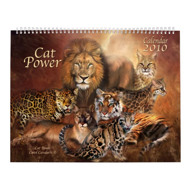 Calendário de Cat Power 2010 (Capa)