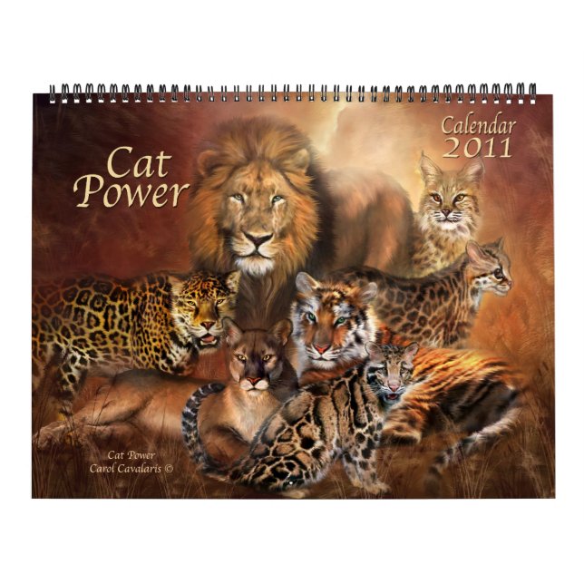 Calendário de Cat Power 2011 (Capa)