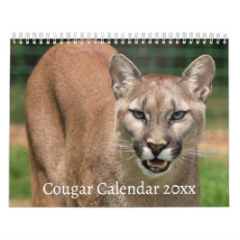 Calendário de Cat Selvagem de Cougar