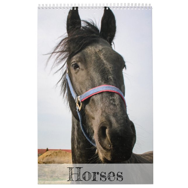 Calendário de Cavalos... (Capa)