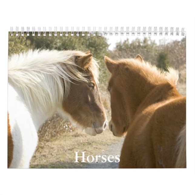 Calendário de Cavalos (Capa)