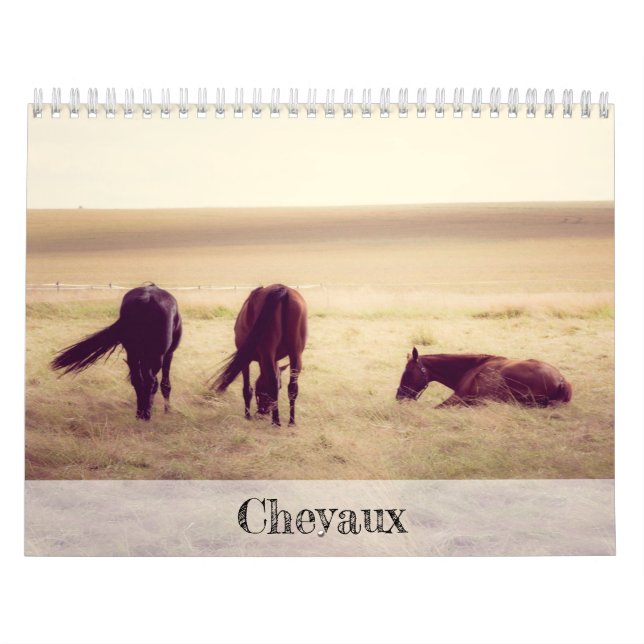 Calendário de Cavalos (Capa)