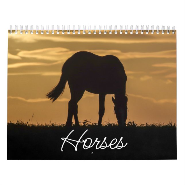 Calendário de Cavalos (Capa)
