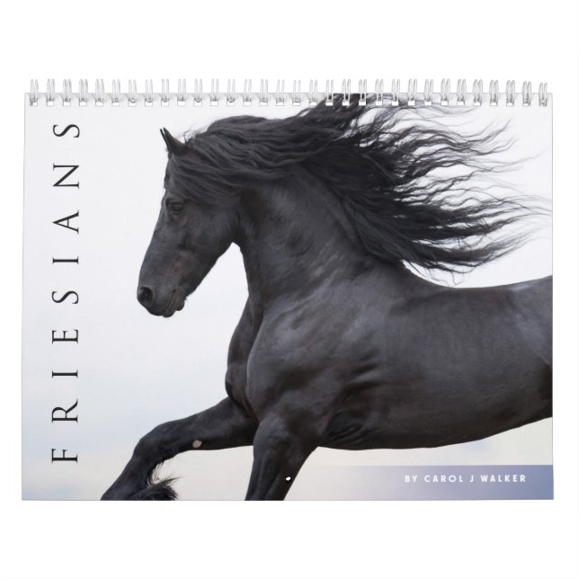 Calendário de Cavalos Frísia (Capa)