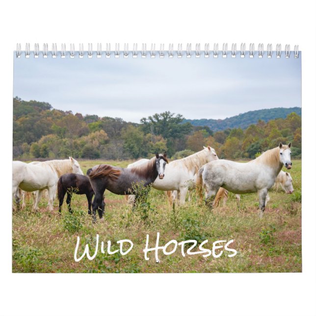 Calendário de Cavalos Selvagens (Capa)